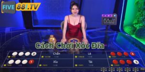 cach choi xoc dia